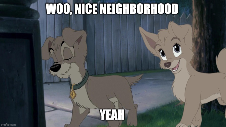 Nice Neighborhood | WOO, NICE NEIGHBORHOOD; YEAH | image tagged in lady and the tramp 2,disney,dogs,alyssa milano | made w/ Imgflip meme maker