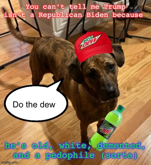 Do the dew | You can’t tell me Trump isn’t a Republican Biden because; he’s old, white, demented, and a pedophile (sorta) | image tagged in do the dew | made w/ Imgflip meme maker