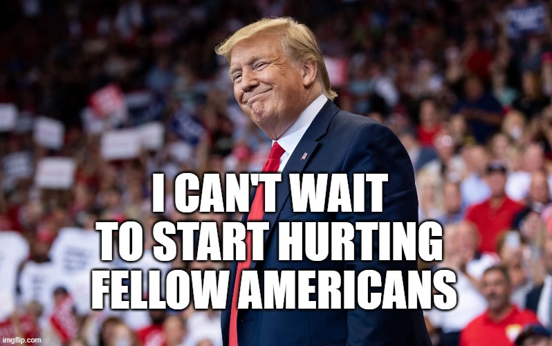 I CAN'T WAIT 
TO START HURTING 
FELLOW AMERICANS | image tagged in trump,hurt | made w/ Imgflip meme maker