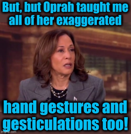 But, but Oprah taught me
all of her exaggerated hand gestures and
gesticulations too! | made w/ Imgflip meme maker