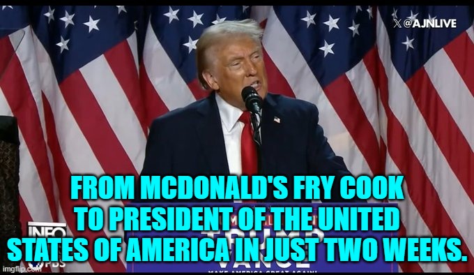 Only in America. | FROM MCDONALD'S FRY COOK TO PRESIDENT OF THE UNITED STATES OF AMERICA IN JUST TWO WEEKS. | image tagged in yep | made w/ Imgflip meme maker