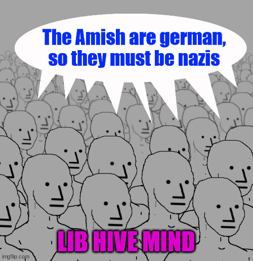 npc-crowd | The Amish are german, so they must be nazis LIB HIVE MIND | image tagged in npc-crowd | made w/ Imgflip meme maker