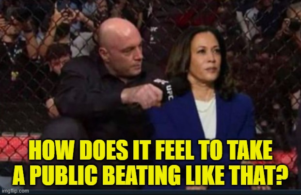 Rogan gets his | HOW DOES IT FEEL TO TAKE A PUBLIC BEATING LIKE THAT? | image tagged in ufc,maga,make america great again,trump,kamala harris,elon musk | made w/ Imgflip meme maker