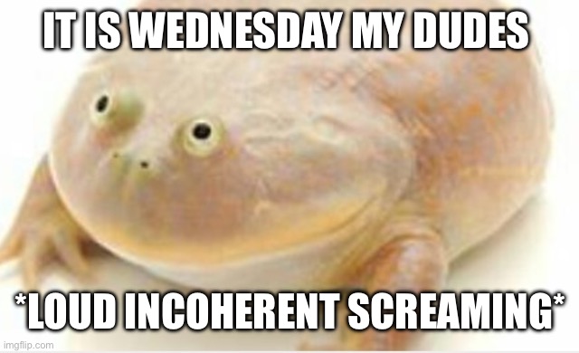 I’m back, what did I miss? | IT IS WEDNESDAY MY DUDES; *LOUD INCOHERENT SCREAMING* | image tagged in it's wednesday my dudes | made w/ Imgflip meme maker