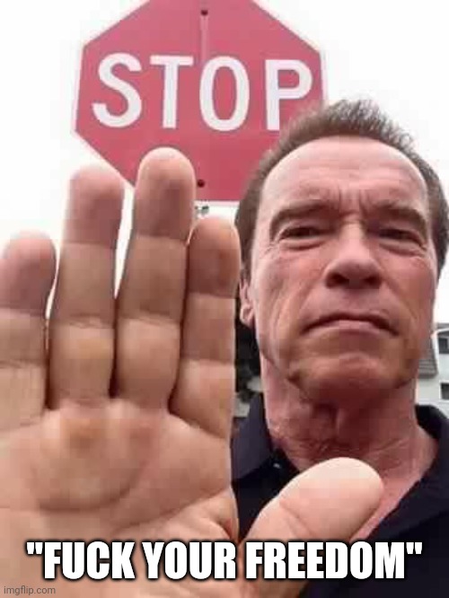 "FUCK YOUR FREEDOM" | image tagged in arnie stop | made w/ Imgflip meme maker