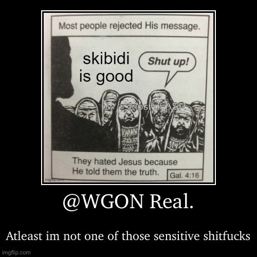 @WGON Real. | Atleast im not one of those sensitive shitfucks | image tagged in funny,demotivationals | made w/ Imgflip demotivational maker