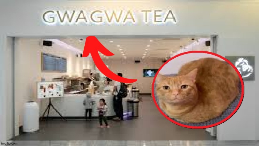 new temp | image tagged in gwa gwa tea | made w/ Imgflip meme maker