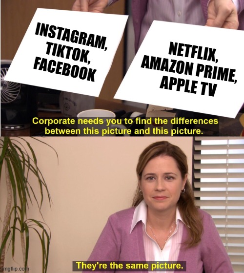 They're The Same Picture Meme | INSTAGRAM, TIKTOK, FACEBOOK; NETFLIX, AMAZON PRIME, 
APPLE TV | image tagged in memes,they're the same picture | made w/ Imgflip meme maker