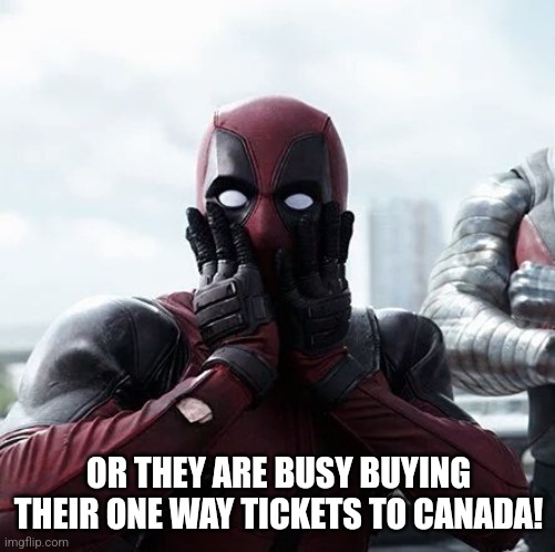 Deadpool Surprised Meme | OR THEY ARE BUSY BUYING THEIR ONE WAY TICKETS TO CANADA! | image tagged in memes,deadpool surprised | made w/ Imgflip meme maker