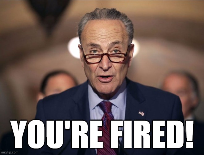 You're Fired | YOU'RE FIRED! | image tagged in schumer,election,asshole,libtard,demoncrat,moron | made w/ Imgflip meme maker