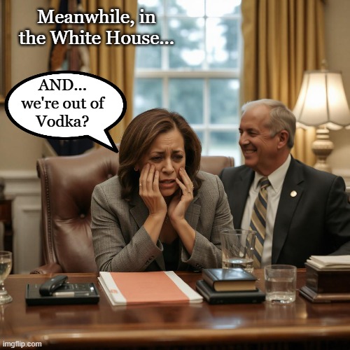 Election: The Day After | Meanwhile, in the White House... AND...
we're out of
Vodka? | image tagged in kamala harris,donald trump,election,conservatives | made w/ Imgflip meme maker