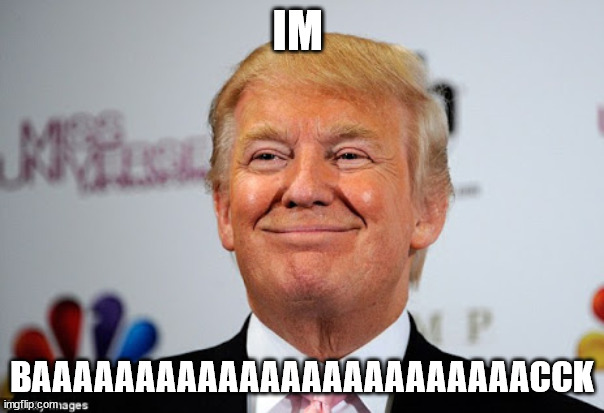 Donald trump approves | IM; BAAAAAAAAAAAAAAAAAAAAAAAACCK | image tagged in donald trump approves | made w/ Imgflip meme maker