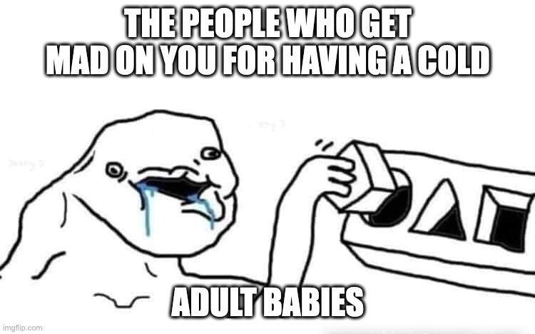 That friend who get mad on you for having a cold | THE PEOPLE WHO GET MAD ON YOU FOR HAVING A COLD; ADULT BABIES | image tagged in stupid dumb drooling puzzle,adult babies | made w/ Imgflip meme maker