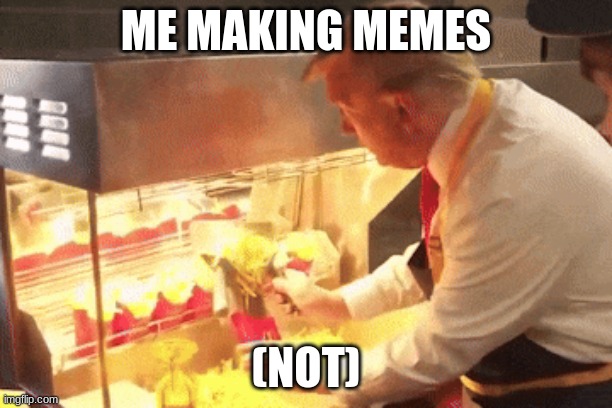 Me making Memes | ME MAKING MEMES; (NOT) | image tagged in donald trump,funny memes | made w/ Imgflip meme maker