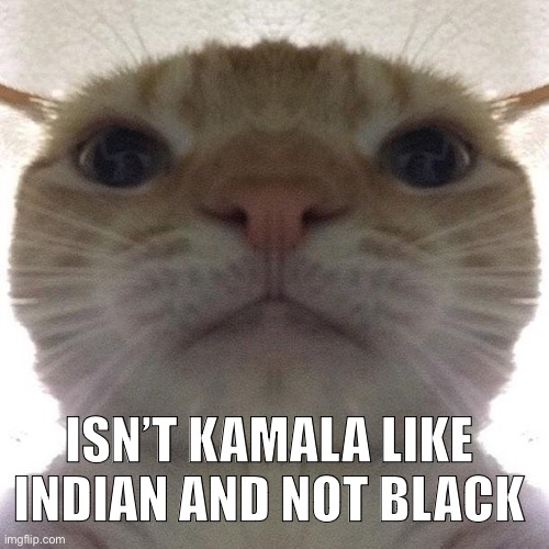 That’s crazy | ISN’T KAMALA LIKE INDIAN AND NOT BLACK | image tagged in staring cat/gusic | made w/ Imgflip meme maker