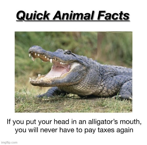 April 15 is just around the corner | image tagged in vince vance,alligator,taxes,animal facts,memes | made w/ Imgflip meme maker