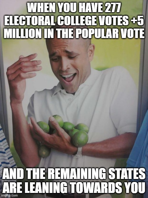 Why Can't I Hold All These Limes | WHEN YOU HAVE 277 ELECTORAL COLLEGE VOTES +5 MILLION IN THE POPULAR VOTE; AND THE REMAINING STATES ARE LEANING TOWARDS YOU | image tagged in memes,why can't i hold all these limes | made w/ Imgflip meme maker