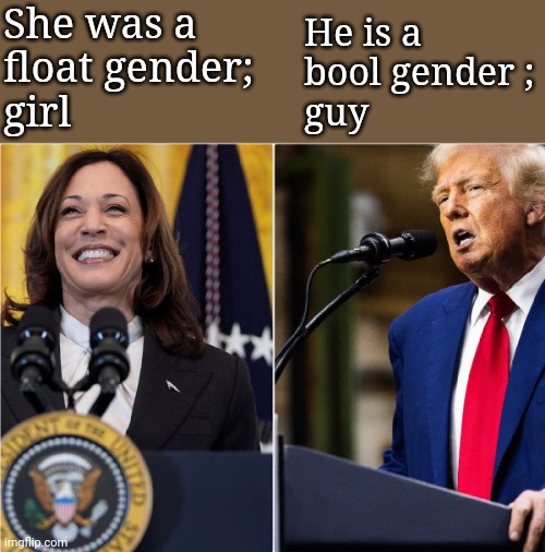 Programming humor | She was a
float gender; 
girl; He is a
bool gender ;
guy | image tagged in programming,election,trump,kamala harris,usa,funny memes | made w/ Imgflip meme maker