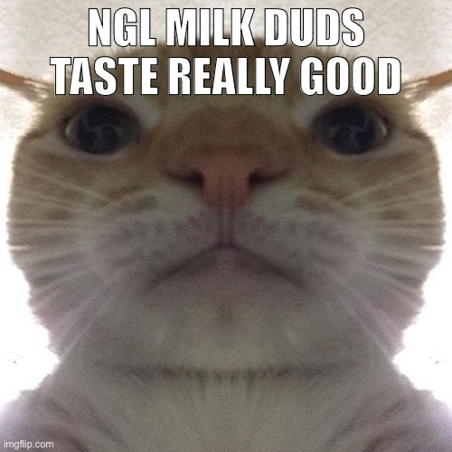 Staring Cat/Gusic | NGL MILK DUDS TASTE REALLY GOOD | image tagged in staring cat/gusic | made w/ Imgflip meme maker