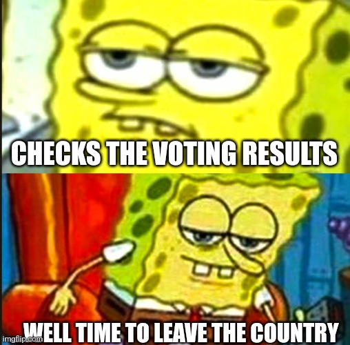 2024-2025 Election Day | CHECKS THE VOTING RESULTS; ...WELL TIME TO LEAVE THE COUNTRY | image tagged in donald trump,kamala harris,presidential election | made w/ Imgflip meme maker