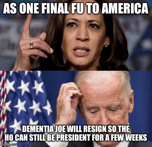 Kamala Harris and Joe Biden | AS ONE FINAL FU TO AMERICA; DEMENTIA JOE WILL RESIGN SO THE HO CAN STILL BE PRESIDENT FOR A FEW WEEKS | image tagged in kamala harris and joe biden | made w/ Imgflip meme maker