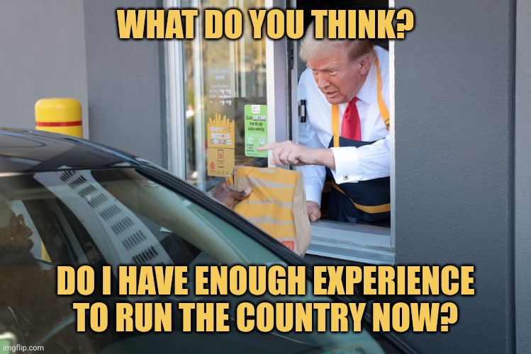 You're McFired | WHAT DO YOU THINK? DO I HAVE ENOUGH EXPERIENCE TO RUN THE COUNTRY NOW? | image tagged in donald trump mcdonald's,memes,election 2024,picture punches | made w/ Imgflip meme maker