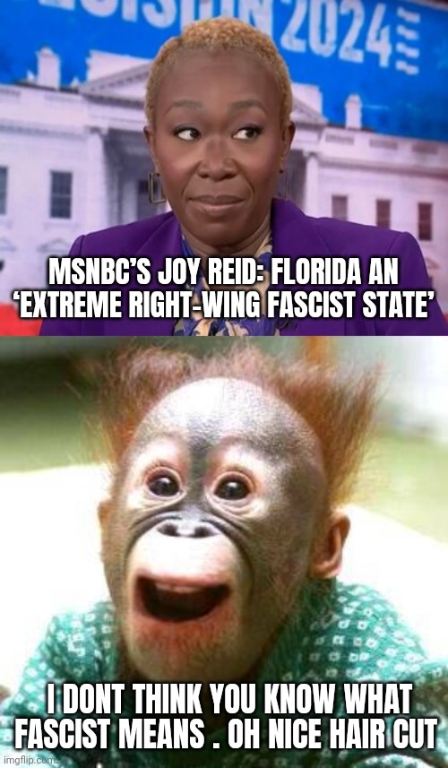 joy Reid meme | MSNBC’S JOY REID: FLORIDA AN ‘EXTREME RIGHT-WING FASCIST STATE’; I DONT THINK YOU KNOW WHAT FASCIST MEANS . OH NICE HAIR CUT | image tagged in happy monkey happy birthday | made w/ Imgflip meme maker