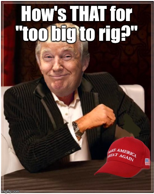 Won the popular vote AND the electoral college | How's THAT for "too big to rig?" | image tagged in most interesting president | made w/ Imgflip meme maker