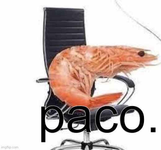 can someone deep fry this image | paco. | image tagged in chair shrimp | made w/ Imgflip meme maker