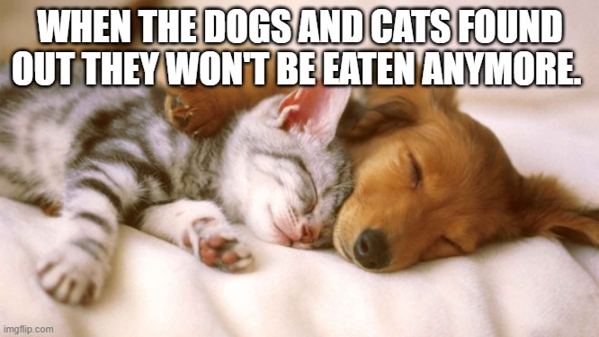 cats and dogs sleeping together | WHEN THE DOGS AND CATS FOUND OUT THEY WON'T BE EATEN ANYMORE. | image tagged in cats and dogs sleeping together | made w/ Imgflip meme maker