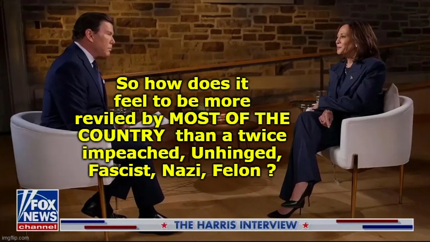 One last interview please | So how does it feel to be more reviled by MOST OF THE COUNTRY  than a twice impeached, Unhinged, Fascist, Nazi, Felon ? | image tagged in kamala interview loses to a felon meme | made w/ Imgflip meme maker