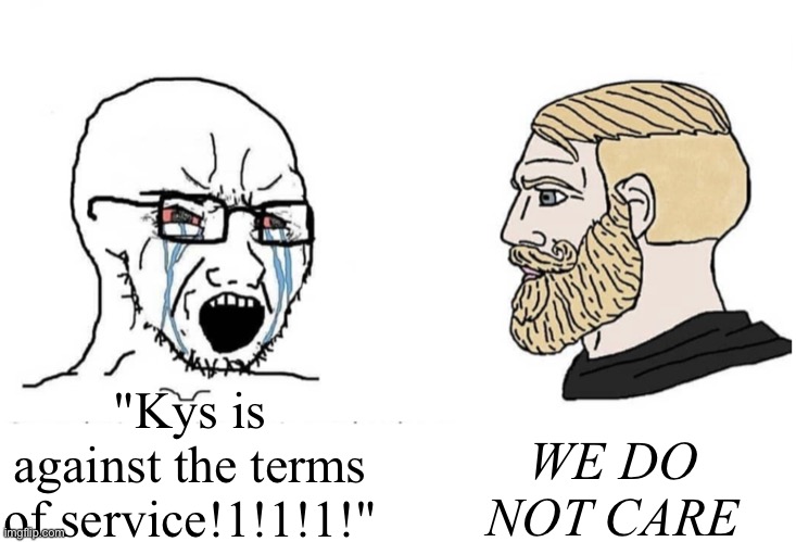 Soyboy Vs Yes Chad | WE DO NOT CARE; "Kys is against the terms of service!1!1!1!" | image tagged in soyboy vs yes chad | made w/ Imgflip meme maker