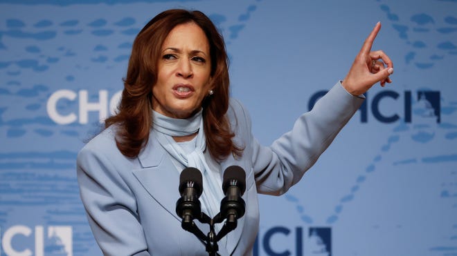 Confused Kamala Blank Meme Template