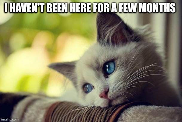 First World Problems Cat | I HAVEN'T BEEN HERE FOR A FEW MONTHS | image tagged in memes,first world problems cat | made w/ Imgflip meme maker