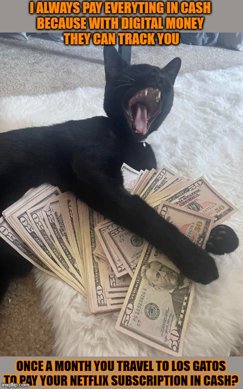 This #lolcat wonders why people who state they pay everything in cash lie | I ALWAYS PAY EVERYTING IN CASH 
BECAUSE WITH DIGITAL MONEY 
THEY CAN TRACK YOU; ONCE A MONTH YOU TRAVEL TO LOS GATOS
TO PAY YOUR NETFLIX SUBSCRIPTION IN CASH? | image tagged in liar,cash,wappies,lolcat | made w/ Imgflip meme maker