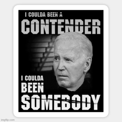 Every day Joe wakes up and looks in the mirror and says | image tagged in joe biden coulda been a contender | made w/ Imgflip meme maker