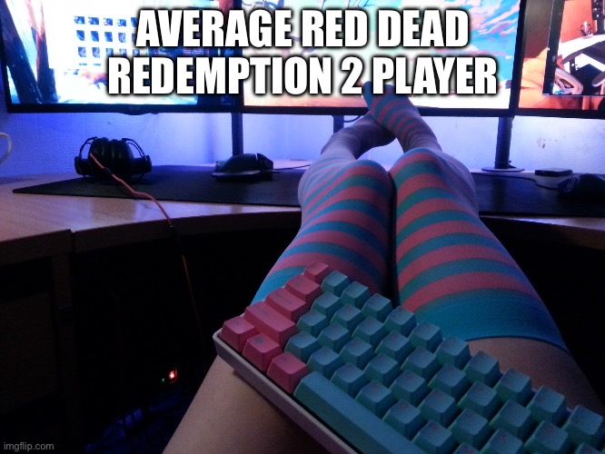 Programmer Socks | AVERAGE RED DEAD REDEMPTION 2 PLAYER | image tagged in programmer socks,femboy,50/50 funny | made w/ Imgflip meme maker