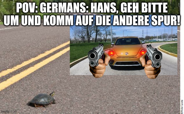 Slow Progress Turtle | POV: GERMANS: HANS, GEH BITTE UM UND KOMM AUF DIE ANDERE SPUR! | image tagged in slow progress turtle | made w/ Imgflip meme maker