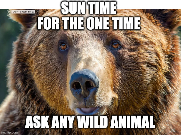 no more daylight saving time! | SUN TIME
FOR THE ONE TIME; ASK ANY WILD ANIMAL | image tagged in sun time,no time change | made w/ Imgflip meme maker