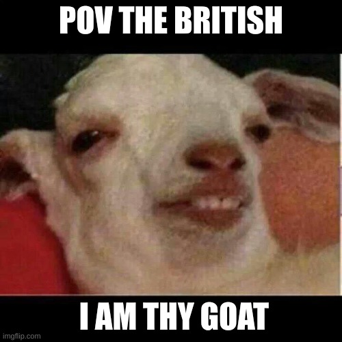 pov the british in the 1600s | POV THE BRITISH; I AM THY GOAT | image tagged in drunk goat | made w/ Imgflip meme maker