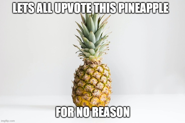 If this gets 200 upvotes, then I will follow and upvote everyone's memes who upvoted and commented! :) | LETS ALL UPVOTE THIS PINEAPPLE; FOR NO REASON | image tagged in pinapple,fruit | made w/ Imgflip meme maker