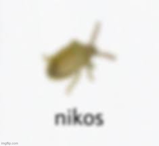 Nikos | image tagged in nikos | made w/ Imgflip meme maker