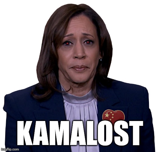 KAMALA SADLY MOPES | KAMALOST | image tagged in kamala sadly mopes | made w/ Imgflip meme maker