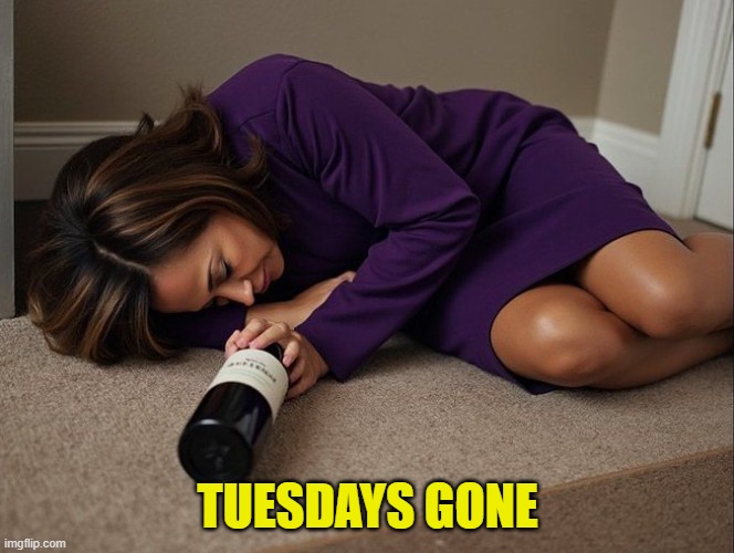 Tuesdays gone with the Trump Win | TUESDAYS GONE | image tagged in election,hangover,maga,make america great again,tds,kamala harris | made w/ Imgflip meme maker