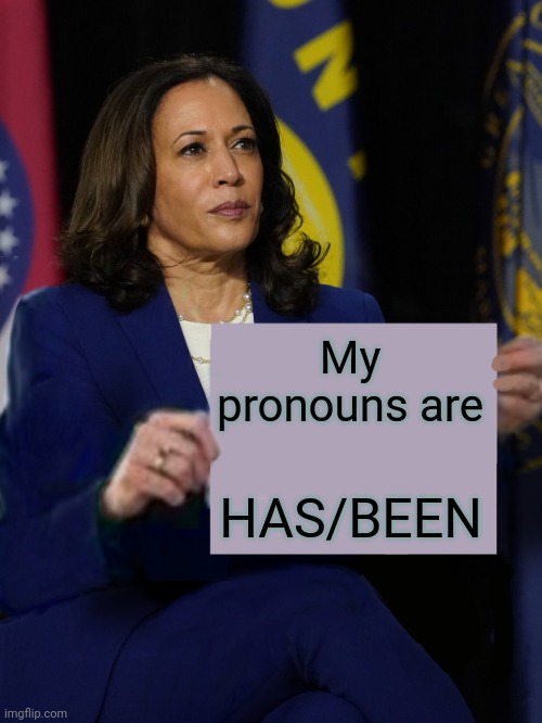 Buh-bye! | My pronouns are; HAS/BEEN | image tagged in kamala harris holding sign | made w/ Imgflip meme maker