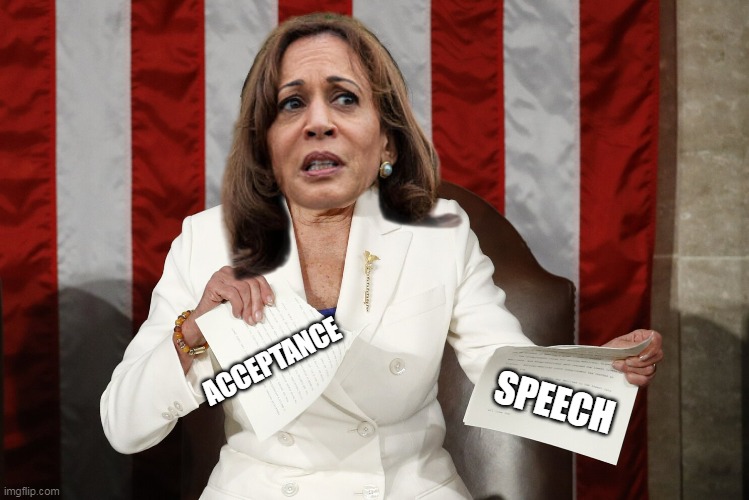 Bet it was a DOOZY ! | SPEECH; ACCEPTANCE | image tagged in kamala acceptance speech meme | made w/ Imgflip meme maker