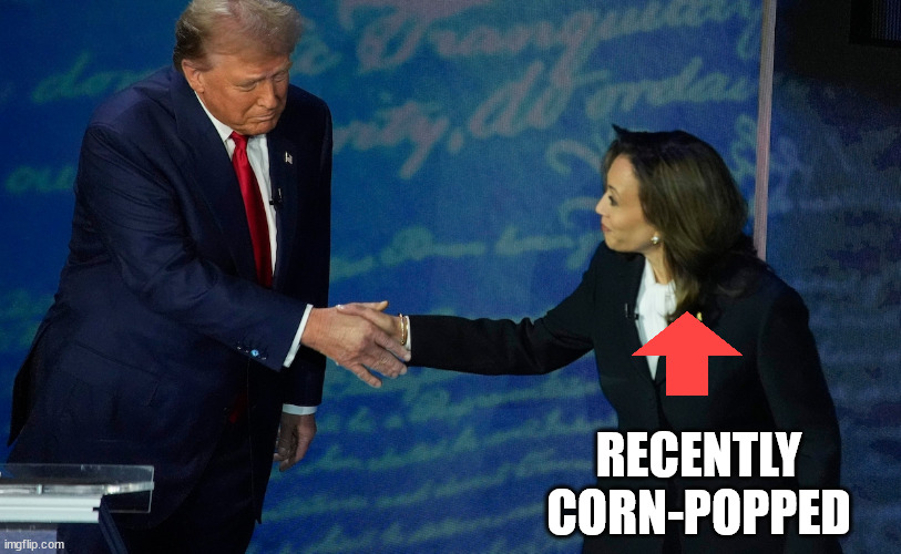 RECENTLY
CORN-POPPED | image tagged in popped | made w/ Imgflip meme maker