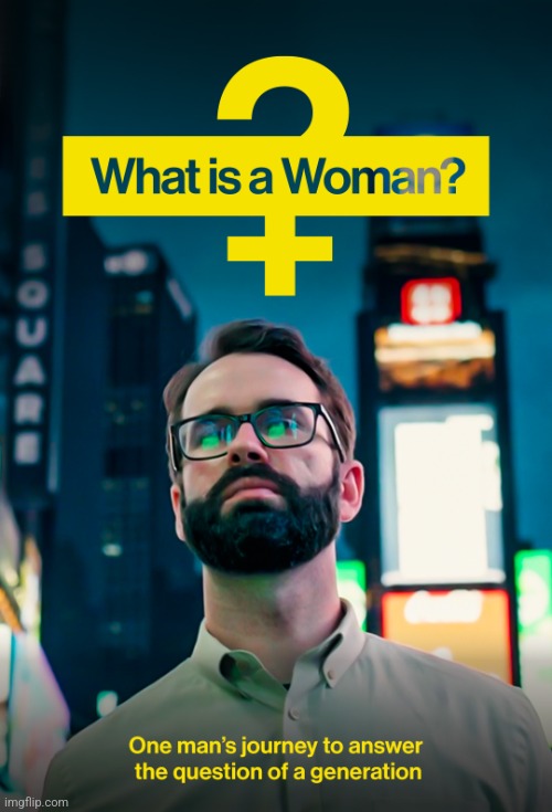 What is a woman? | image tagged in what is a woman | made w/ Imgflip meme maker