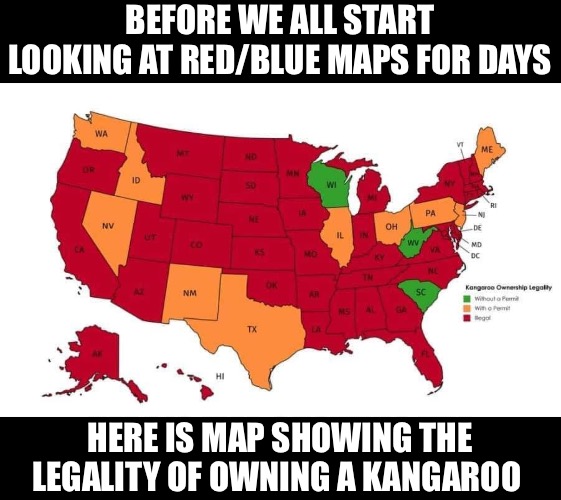 Save Joey | BEFORE WE ALL START LOOKING AT RED/BLUE MAPS FOR DAYS; HERE IS MAP SHOWING THE LEGALITY OF OWNING A KANGAROO | image tagged in kangaroo | made w/ Imgflip meme maker