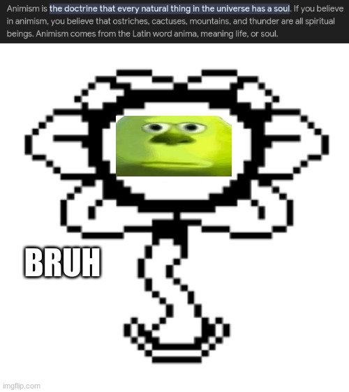 bruh he has no soul | BRUH | image tagged in flowey,bruh,animism | made w/ Imgflip meme maker